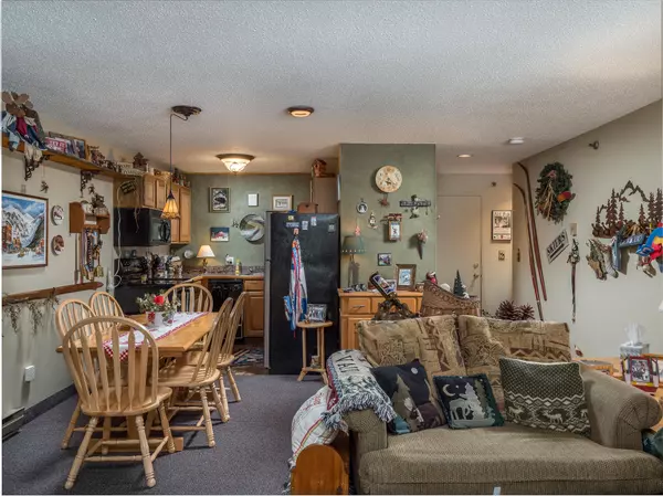 Newry, ME 04261,10 Brookside DR #1B301