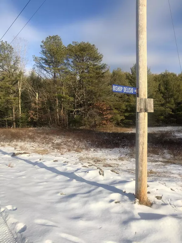 Baldwin, ME 04024,TBD Bishop Delisio LN