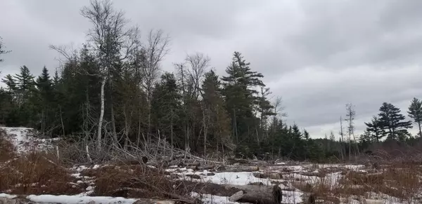 0 Ox Cove RD, Pembroke, ME 04666