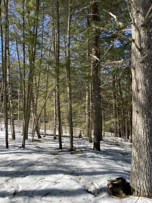 Waterboro, ME 04087,0 Basken SHRS