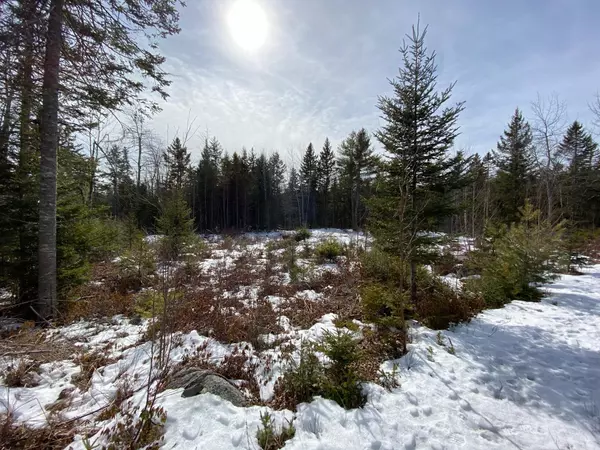 Surry, ME 04684,00 Granite Rock Circle North CIR N