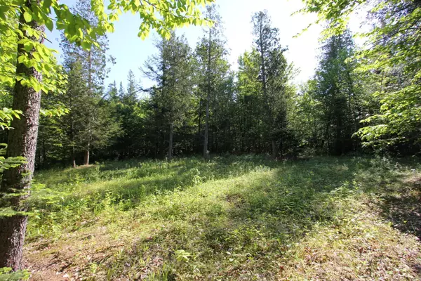 Hartford, ME 04220,Lot 1 Howard RD