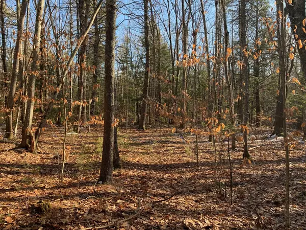 Kennebunk, ME 04043,Lot B Kimball LN