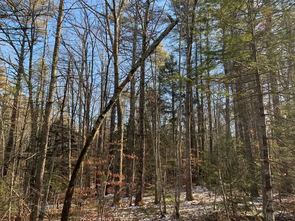 Kennebunk, ME 04043,Lot B Kimball LN