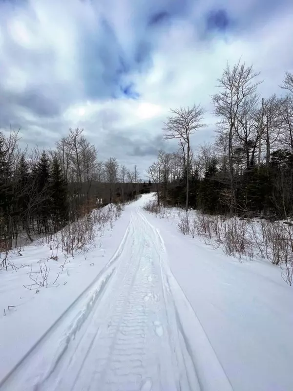 Greenville, ME 04441,Lot 7 Black Bear EXT