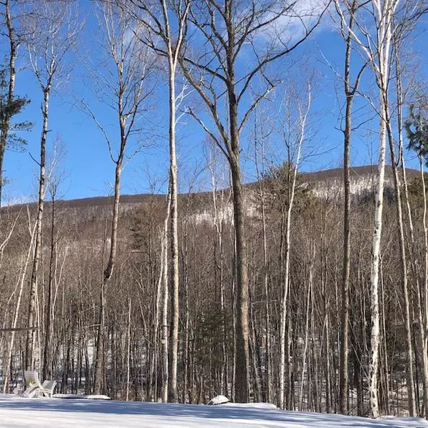 Hiram, ME 04041,17 Sunny LN