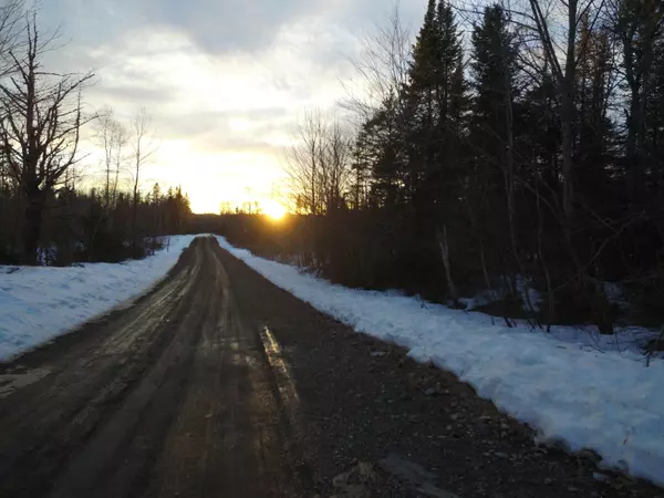 Prentiss Twp T7 R3 Nbpp, ME 04487,Lot 11.2 Off Tar Ridge RD