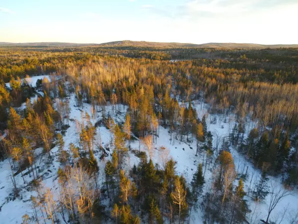 Prentiss Twp T7 R3 Nbpp, ME 04487,Lot 11.2 Off Tar Ridge RD