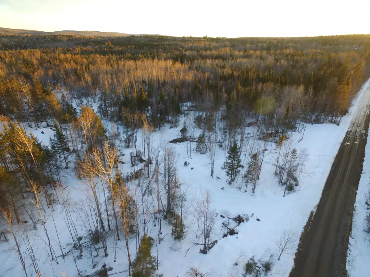 Prentiss Twp T7 R3 Nbpp, ME 04487,Lot 11.2 Off Tar Ridge RD