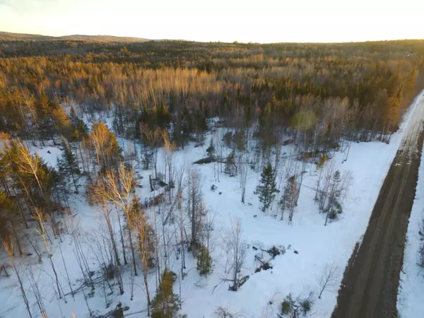 Lot 11.2 Off Tar Ridge RD, Prentiss Twp T7 R3 Nbpp, ME 04487