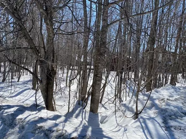 Greenville, ME 04441,21-A Lincoln ST