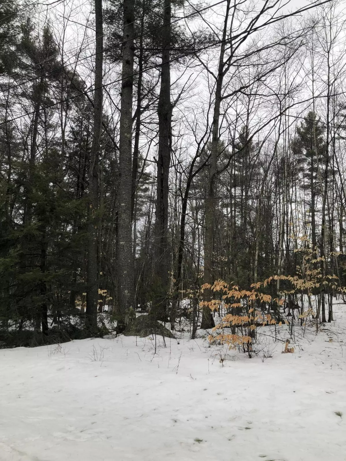 Belgrade, ME 04917,Lot 11 Pinewood DR