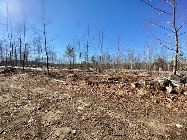 Parsonsfield, ME 04047,00 Mudgett RD