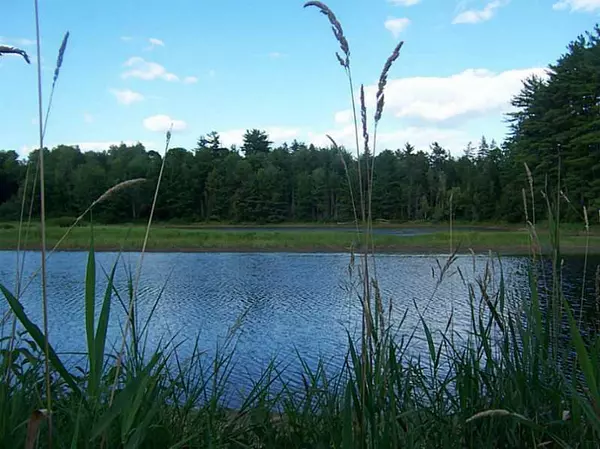 Lot 4-2 South RD, Mariaville, ME 04605
