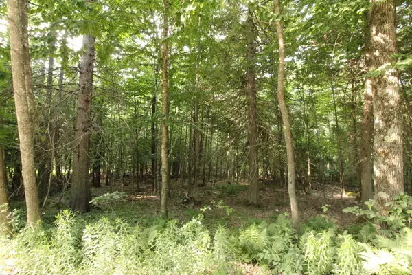 Orrington, ME 04474,0 Richardson RD