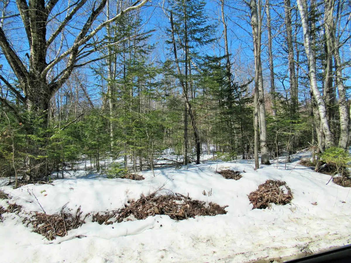 Saint Albans, ME 04971,Lot 36 Nyes Corner Road