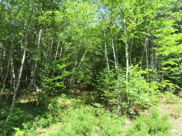 Stockton Springs, ME 04981,0 Pout Town RD