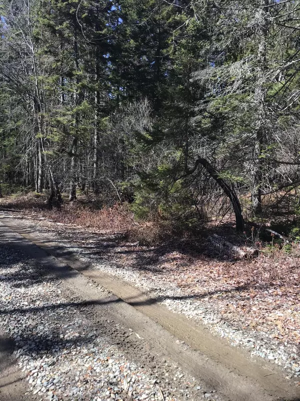 Milbridge, ME 04658,Lot 2-4 Stoehrs Way