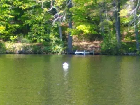 Naples, ME 04055,27 Spruce LN