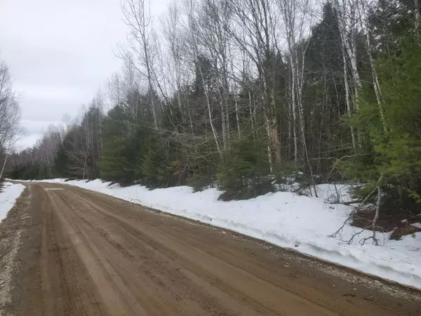 Lakeville, ME 04487,Lot 30 Upper Dobsis RD