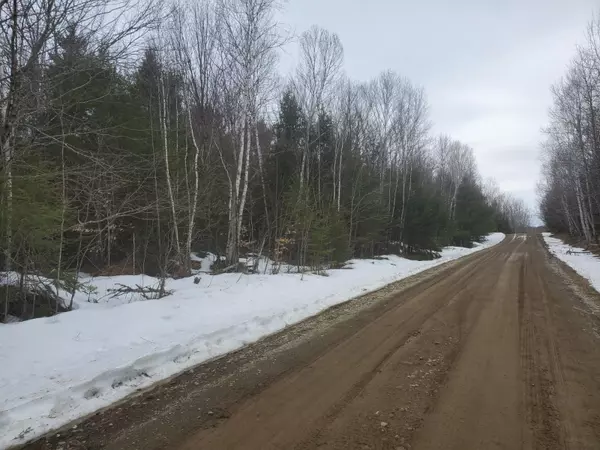 Lakeville, ME 04487,Lot 30 Upper Dobsis RD