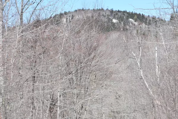 Rumford, ME 04276,336 Moose LN