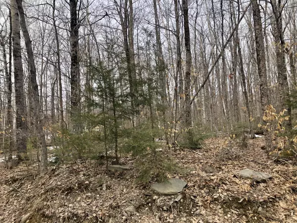 Hudson, ME 04449,Lot 3 Beechwood AVE