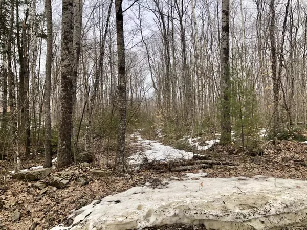 Hudson, ME 04449,Lot 3 Beechwood AVE