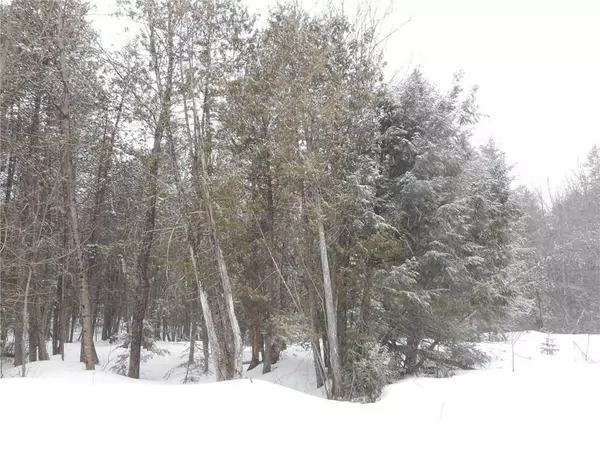 Palmyra, ME 04965,420 Main ST