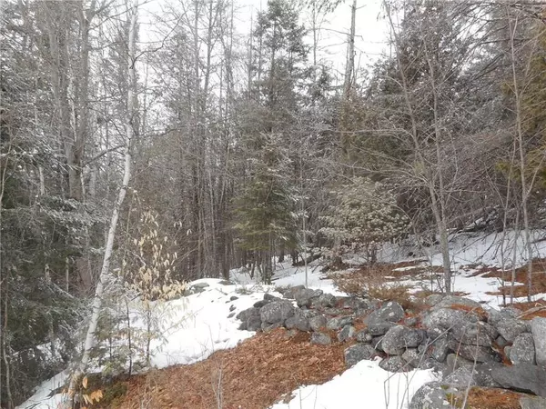 Palmyra, ME 04965,420 Main ST