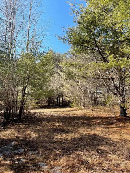 Lot 5 Hanscome Woods Subdivision, Freeport, ME 04032