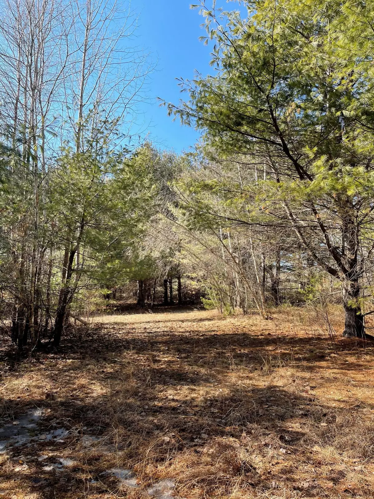 Freeport, ME 04032,Lot 5 Hanscome Woods Subdivision