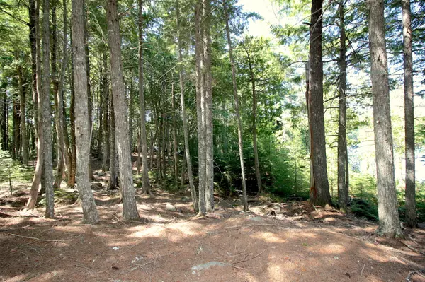 Cathance Twp, ME 04628,Lot S1 Gray Cove RD