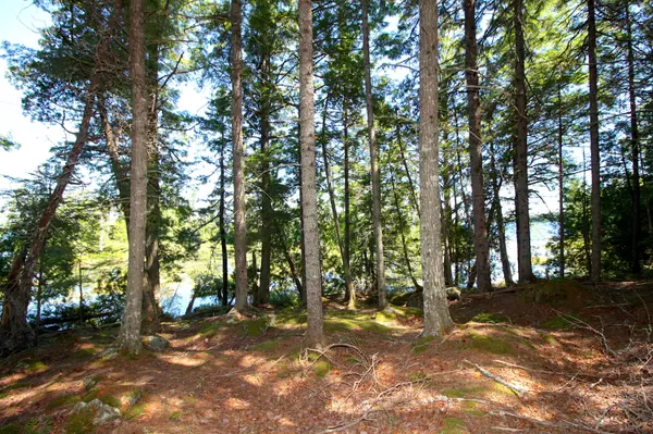 Cathance Twp, ME 04628,Lot S2 Gray Cove RD