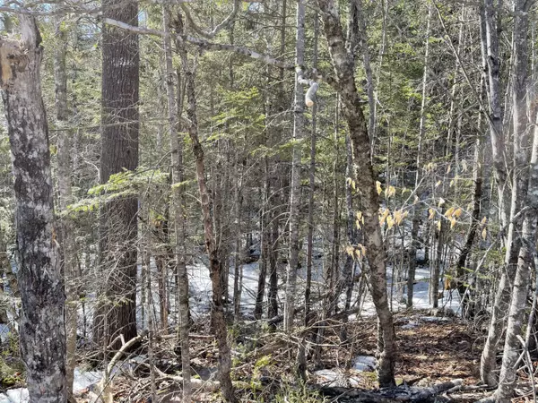 Northfield, ME 04654,Lots 63&64 Kettle Ridge Road/Glacier LN