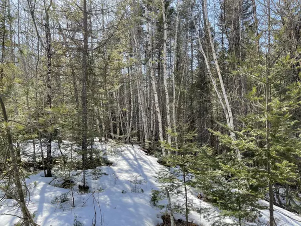 Northfield, ME 04654,Lots 63&64 Kettle Ridge Road/Glacier LN