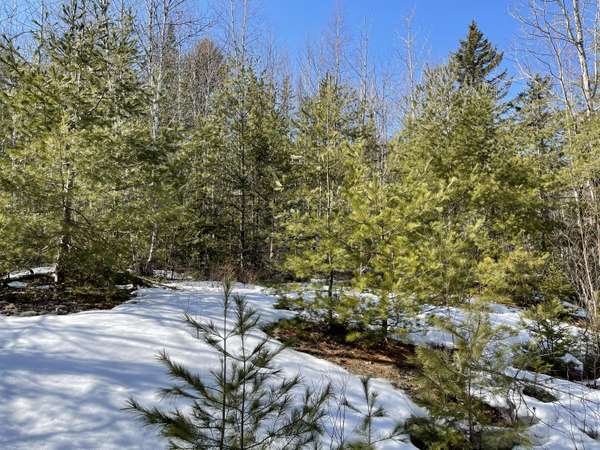 Lots 63&64 Kettle Ridge Road/Glacier LN, Northfield, ME 04654