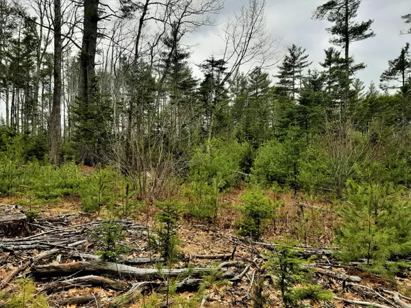 Waldoboro, ME 04572,100 Chapel RD