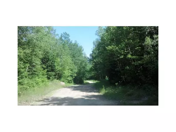 Lakeville, ME 04487,Lot 31 Upper Dobsis RD