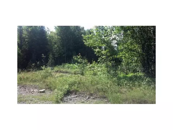 Lakeville, ME 04487,Lot 31 Upper Dobsis RD