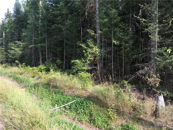 00 Southgate RD, Old Town, ME 04468