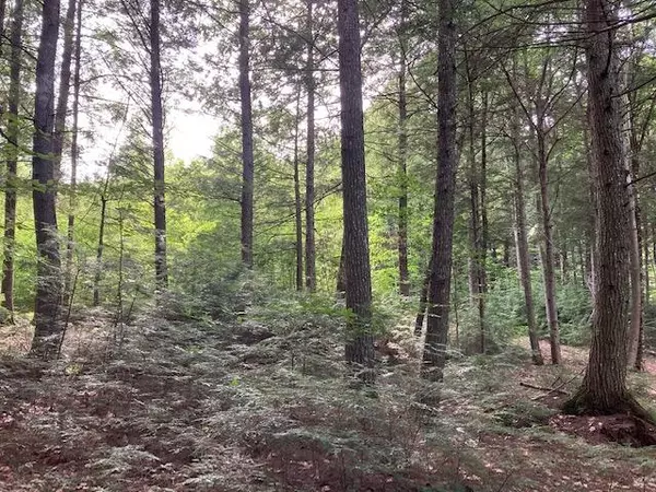 Limerick, ME 04048,25 Philpot's LNDG