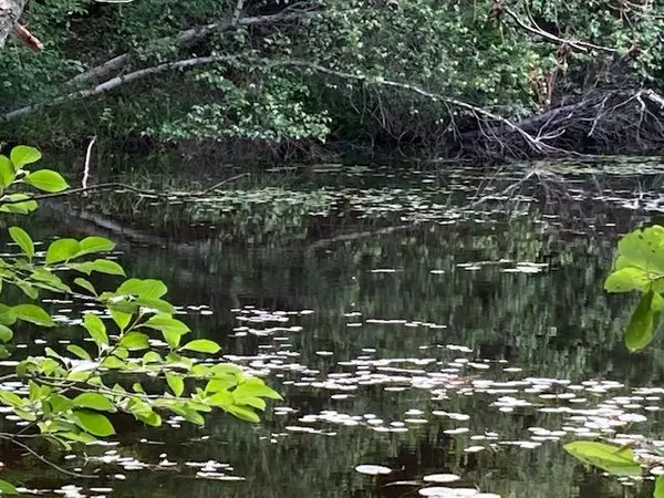 Limerick, ME 04048,25 Philpot's LNDG