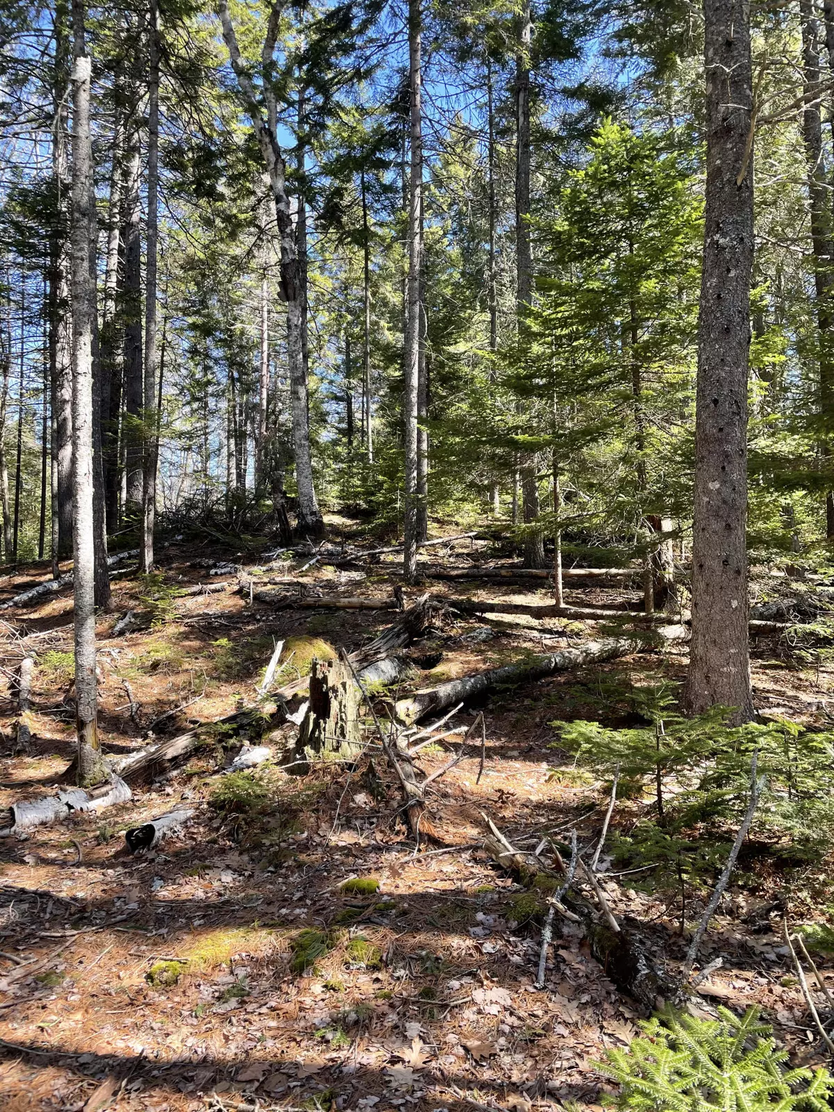 Mount Desert, ME 04660,000 Whitney Farm RD