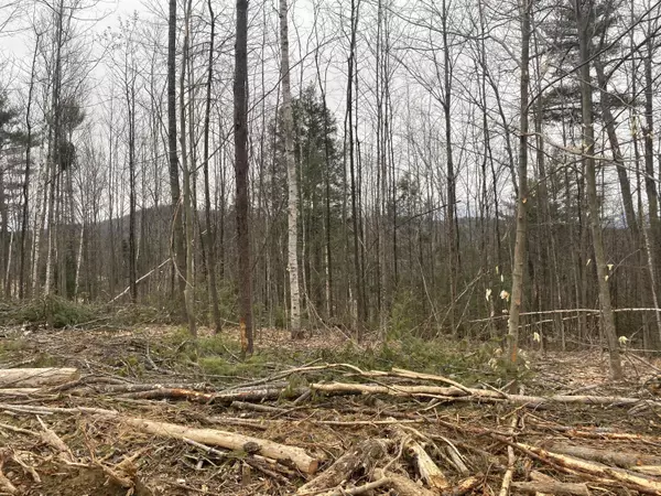 Parsonsfield, ME 04047,Lot 1.6&2 Reservoir Hill RD