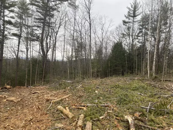 Lot 1.6&2 Reservoir Hill RD, Parsonsfield, ME 04047