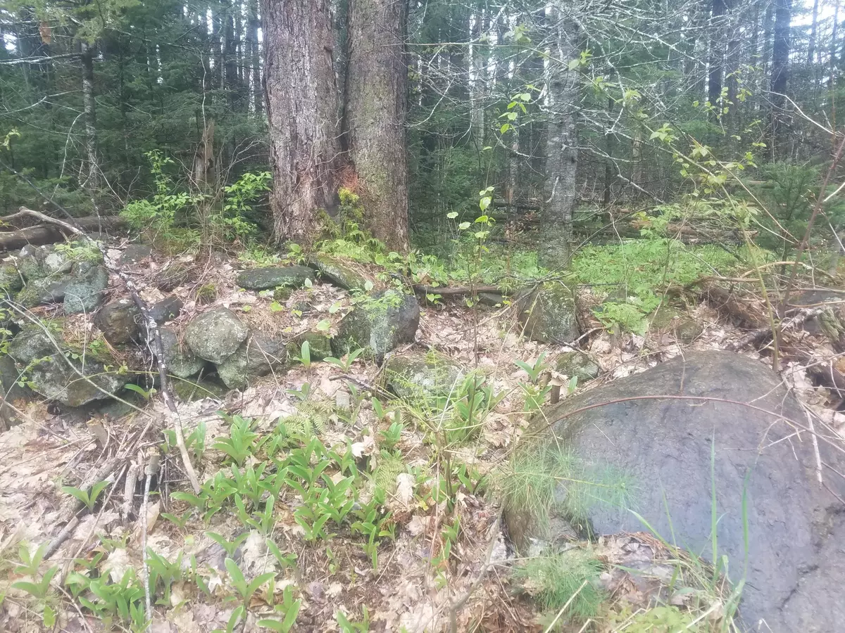 Lincolnville, ME 04849,43A Thurlow RD