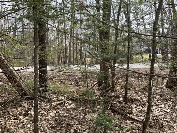 Saco, ME 04072,TBD Burnham RD