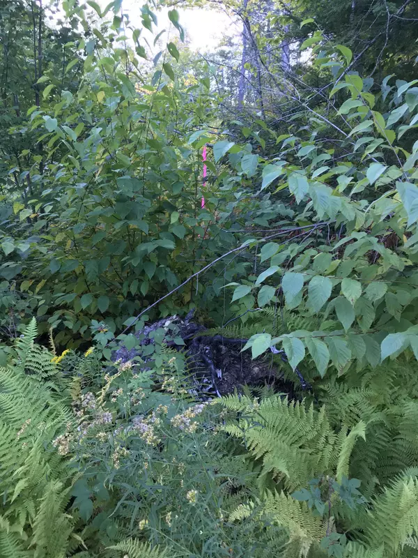 Sebago, ME 04029,23-11 Ward RD