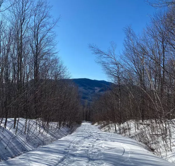 Lot 4 Bear River Rd, Puzzle Mountain, Newry, ME 04261